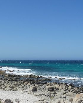 DSC06636