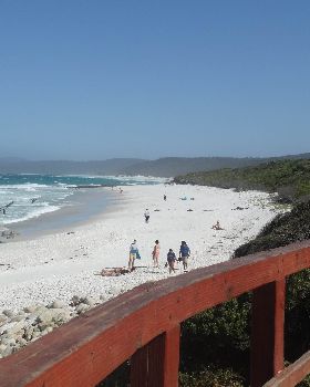 DSC06654