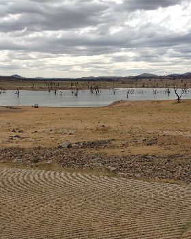 Bowna Waters