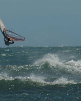 whipping Boy takes flight 