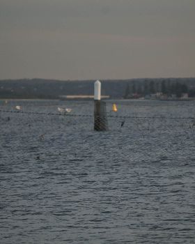 Light Wind Northerly