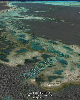 lonely.... isolated.... lots of coral.....lots of biteys...awesome!