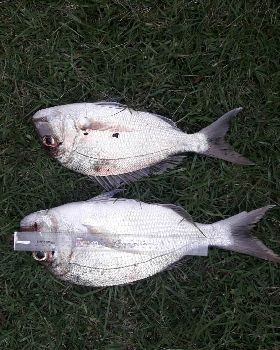 20190317 175238