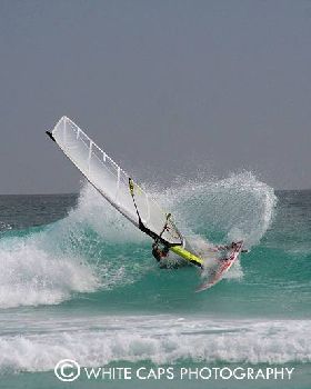 Cut back - Esperance Feb 08
