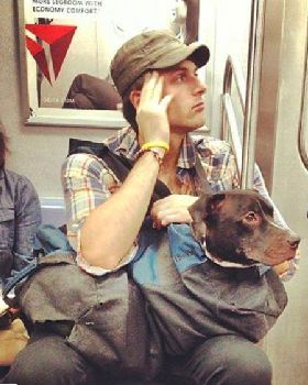subwaydog2