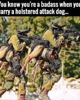 Attack dog