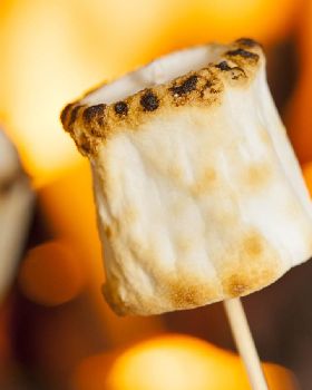 Toasted Marshmellow