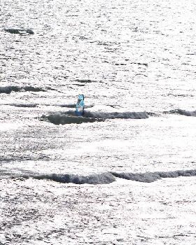 WSA Wave comp 2