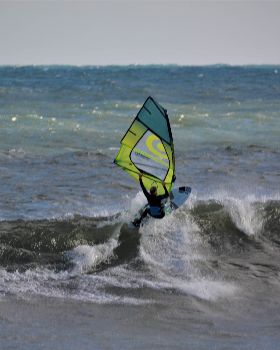 winter wacks