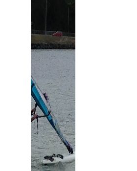 free windsurfer