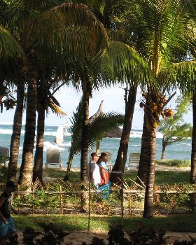 Windsurfing through the trees