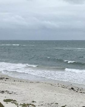 Waves