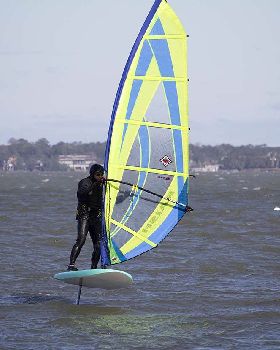 Custom Big Boy Freefoil board