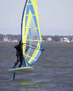 Custom Big Boy Freefoil board