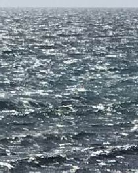 Swell cropped