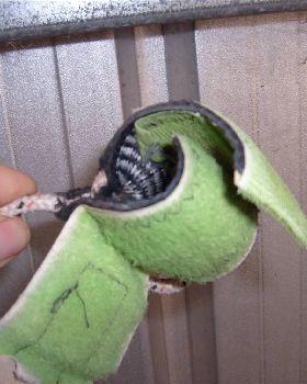 velcro harness line attachment