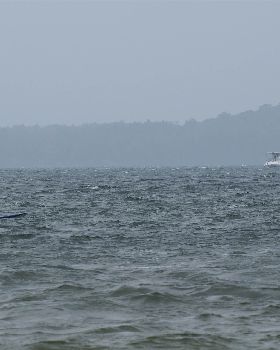Slalom State Championship