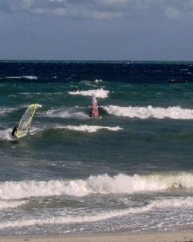 Dutchies 11/5 (2)