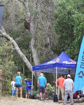 2019/2020 NSW Slalom State Titles
