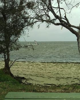 IMAG0683