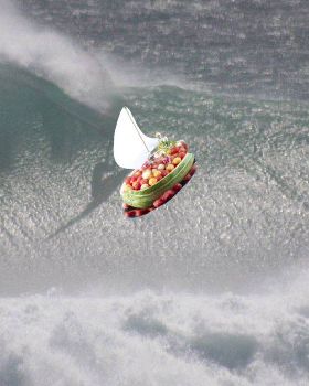 wm sail