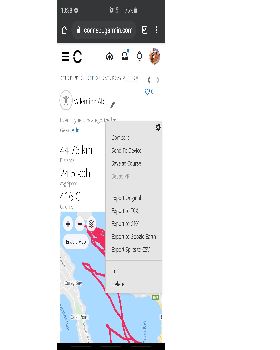 0 Screenshot 20200120-103828 Chrome