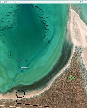 Image 20-3-20 at 8.52 am
