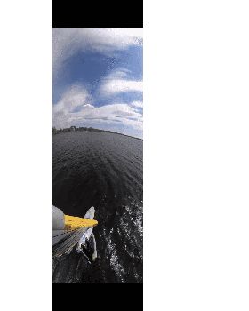 Carvstar Mount with Gopro Max