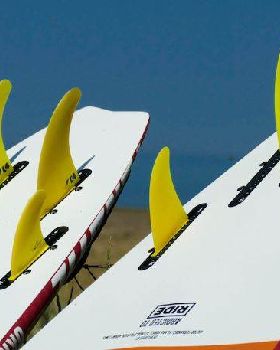 Two main fins