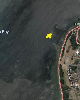razor clam cut location