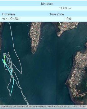 Windglider Dino Challenge GPS stats