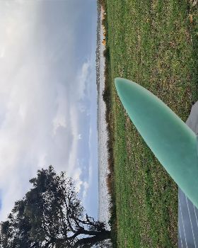 WindTech Proto weed/speed fin
