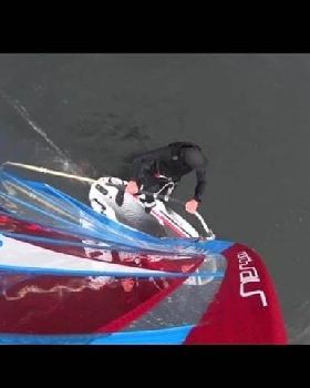 Foil Falcon 148 2011