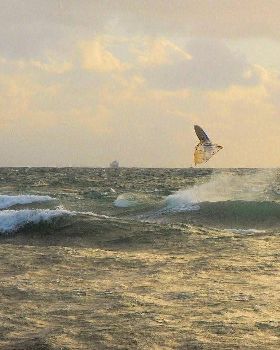Onshore wsw dutch in west oz - backie!
