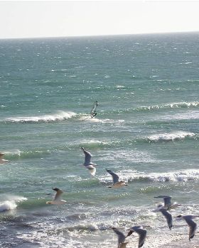 Seaford Today