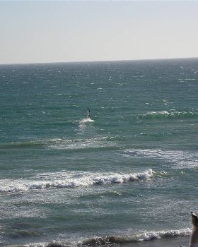 Seaford Today