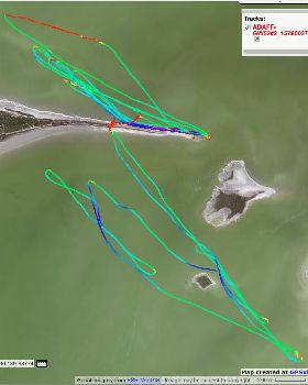 Trackmap 09-02-19