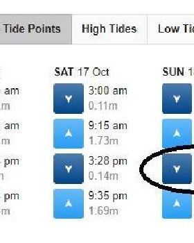 tide table 18 OCt