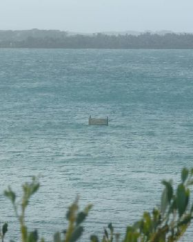 sandy point 02-07-08