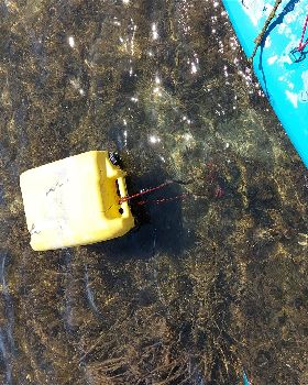 Lake Illawarra Plug