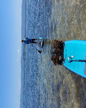 Lake Illawarra Plug