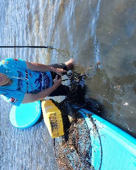 Lake Illawarra Plug