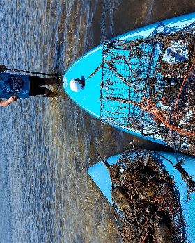 Lake Illawarra Plug