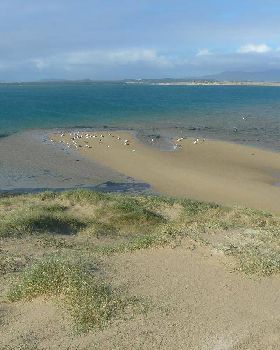 High tide aftermarth at sandy point