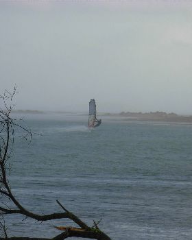 SP Hi Tide Shelby