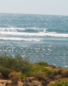 sharing a wave
