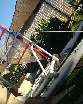 Wind Surf cat