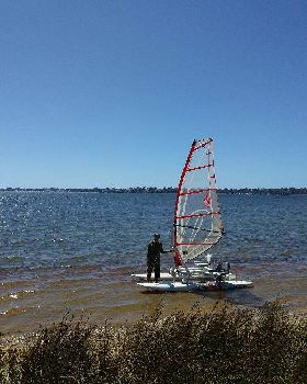 Wind Surf cat