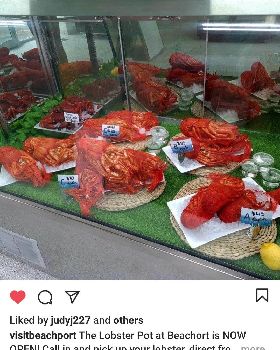 Yum yum yummy