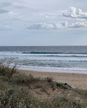 Perfect Session